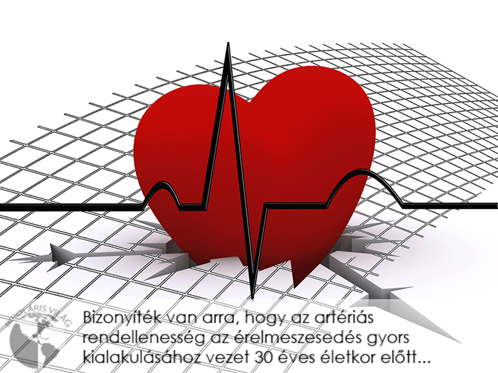 szívbetegségek és ezek hatása az egészségre)